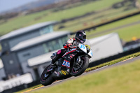 PJ-Motorsport-2019;anglesey-no-limits-trackday;anglesey-photographs;anglesey-trackday-photographs;enduro-digital-images;event-digital-images;eventdigitalimages;no-limits-trackdays;peter-wileman-photography;racing-digital-images;trac-mon;trackday-digital-images;trackday-photos;ty-croes